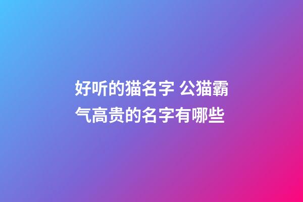 好听的猫名字 公猫霸气高贵的名字有哪些
